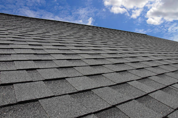 Best Metal Roofing Installation  in Royal Palm Beach, FL
